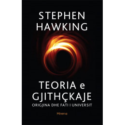 Teoria e gjithçkaje, Stephen Hawking