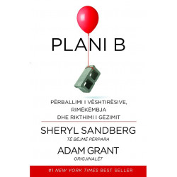 Plani B, Sheryl Sandberg, Adam Grant